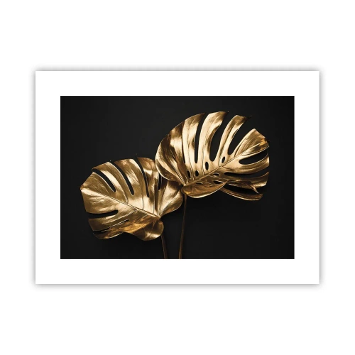 Poster - De schatten van de natuur - 40x30 cm