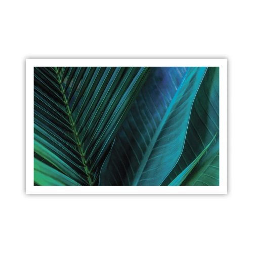 Poster - De anatomie van groen - 91x61 cm