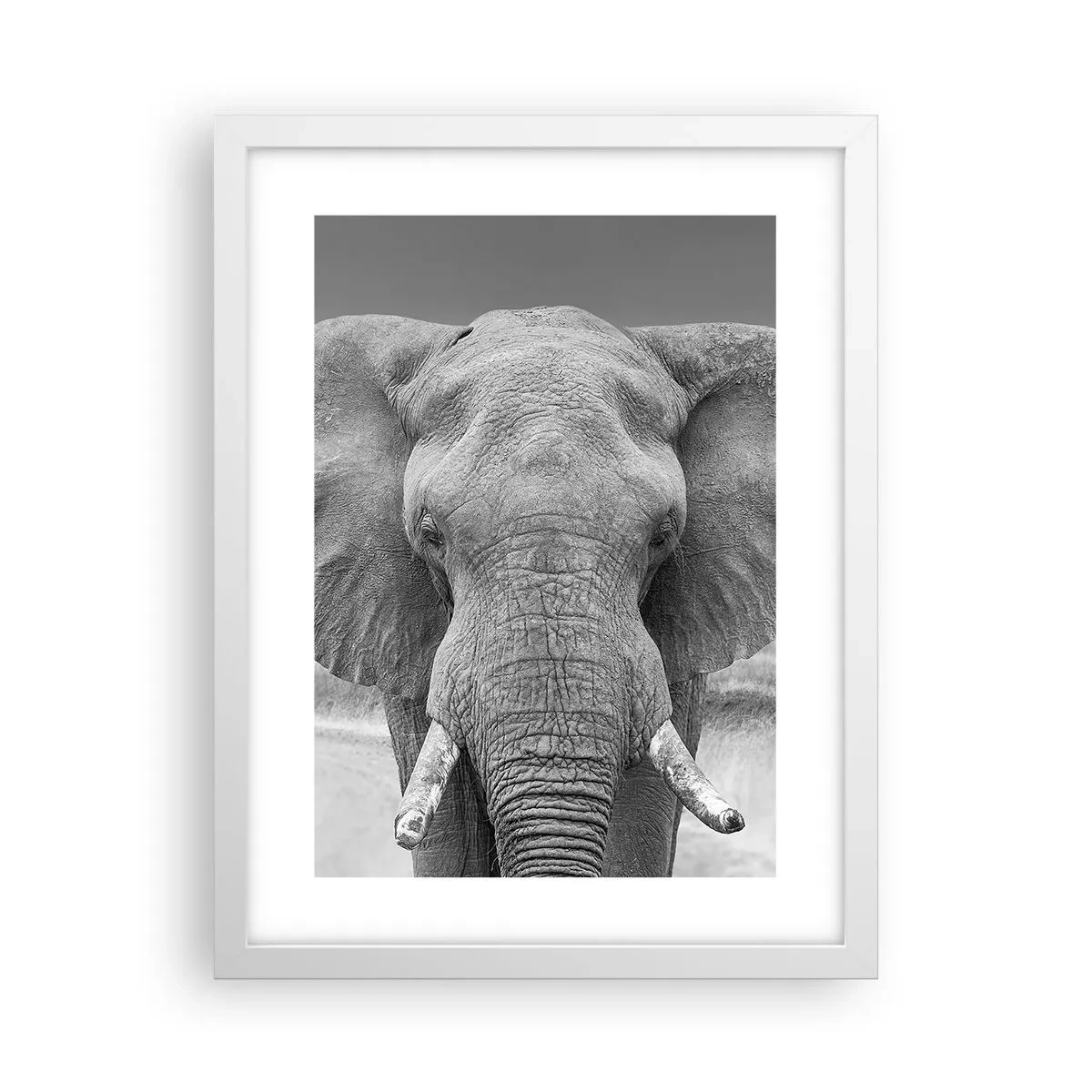 Poster in een witte lijst - Welkom in mijn wereld - 30x40 cm