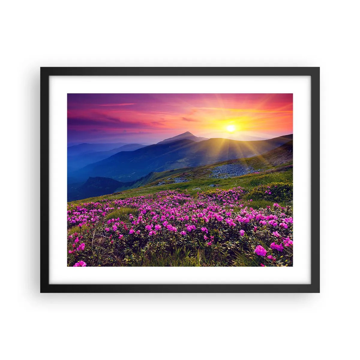 Poster in een zwarte lijst - … En eromheen ruikt het naar bergdennen en de geur van kruiden - 50x40 cm