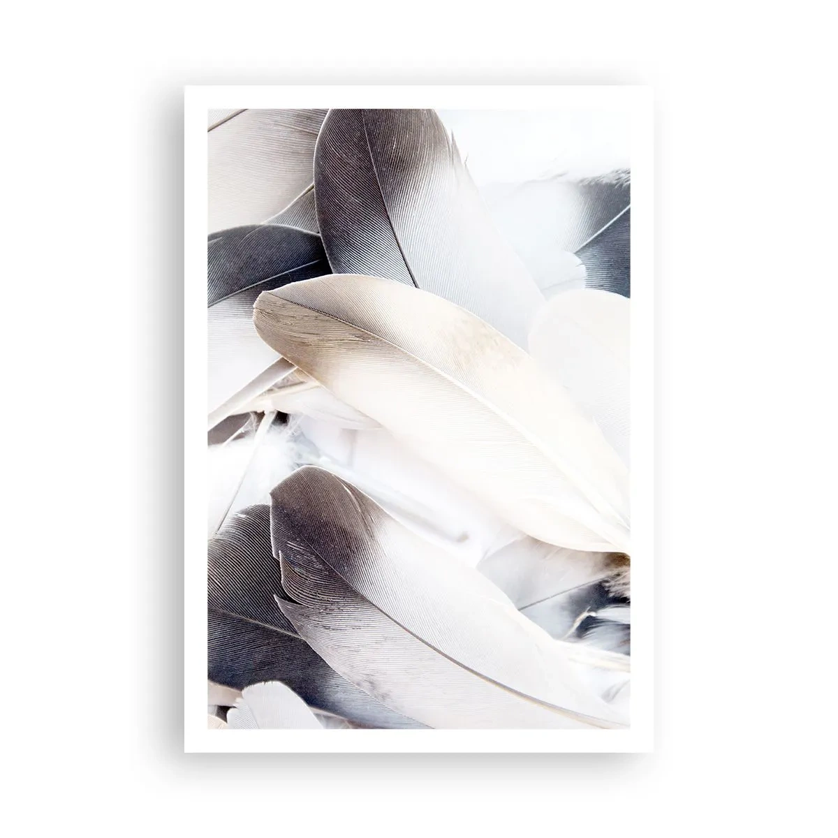 Poster - Bijna engelachtig - 70x100 cm