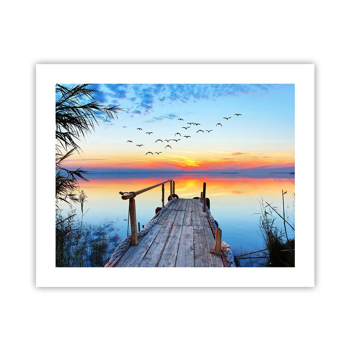 Poster - Het is tijd om terug te gaan... - 50x40 cm