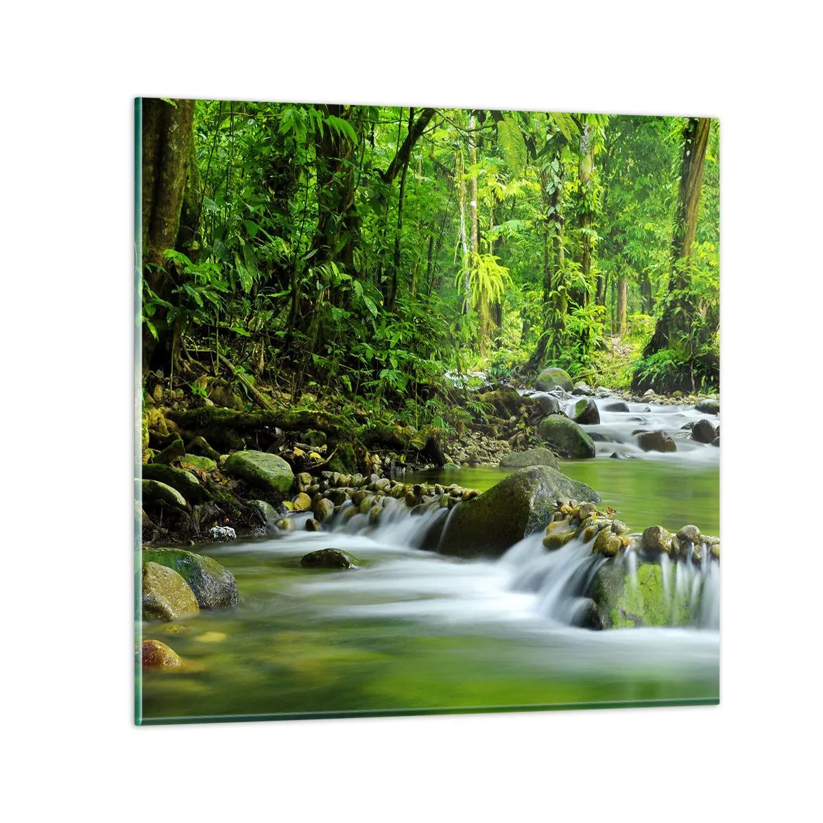 Schilderen op glas - Zwemmen in een zee van groen - 70x70 cm
