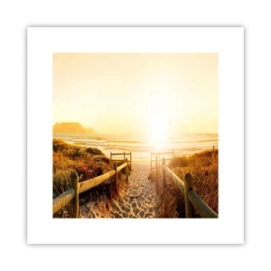Poster - Over het duin, richting de zon - 30x30 cm
