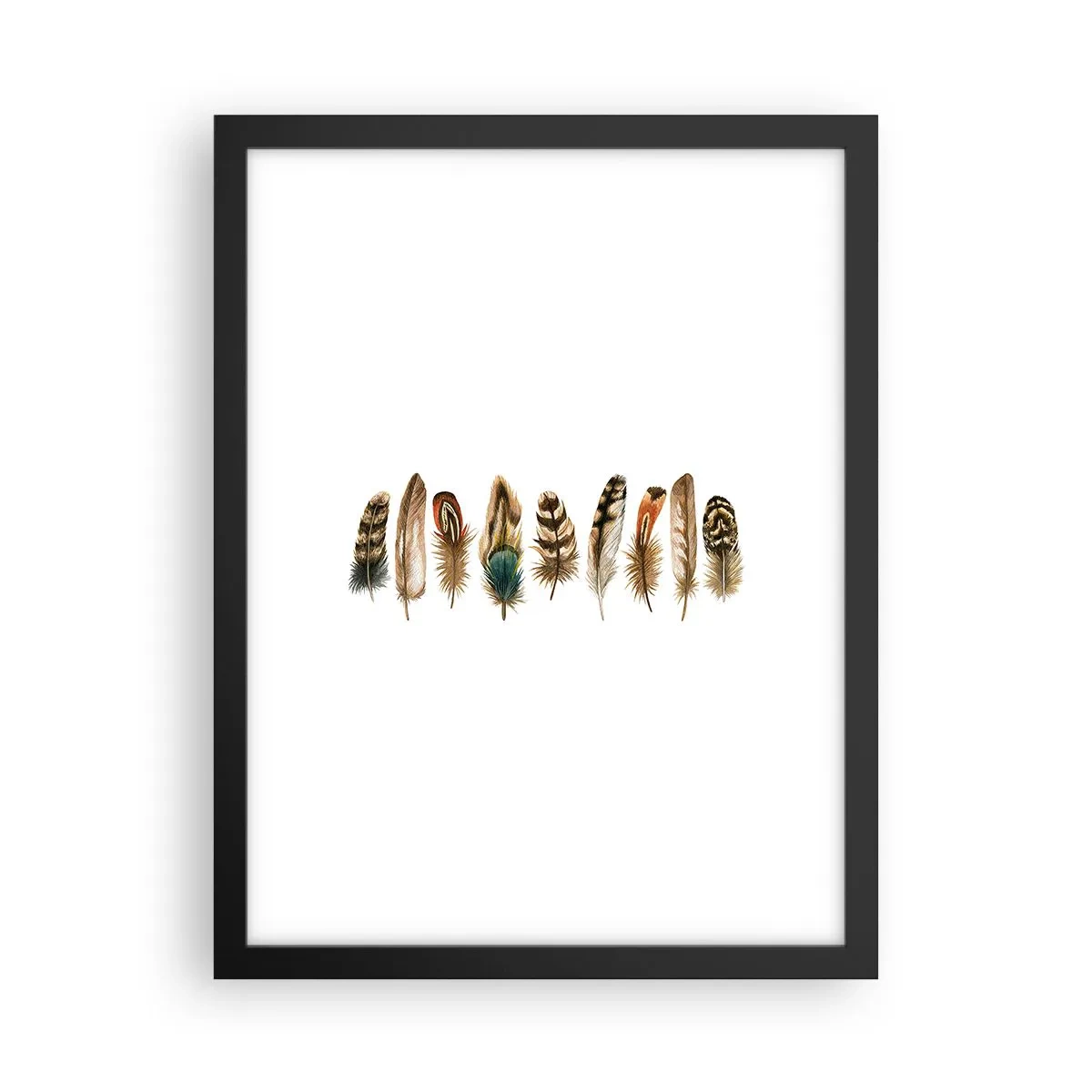 Poster in een zwarte lijst - Een gevederde variatie - 30x40 cm