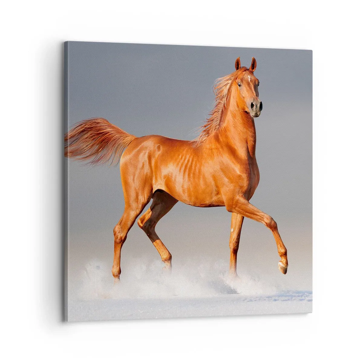 Schilderen op canvas - Dansende elegantie - 60x60 cm