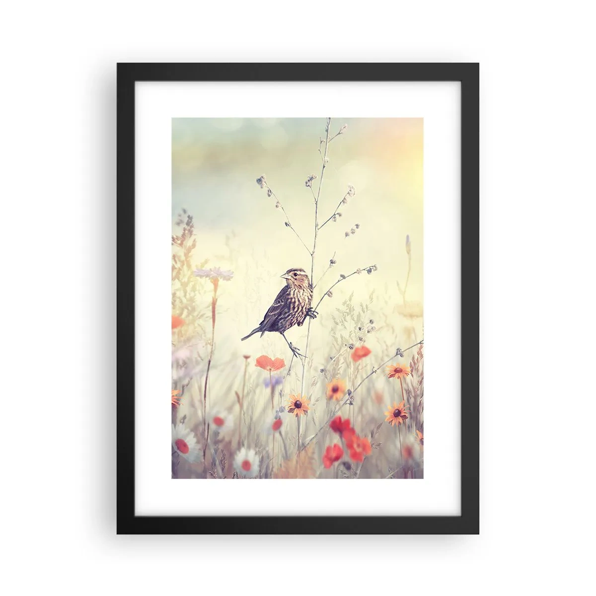 Poster in een zwarte lijst - Vogelportret met een weiland op de achtergrond - 30x40 cm
