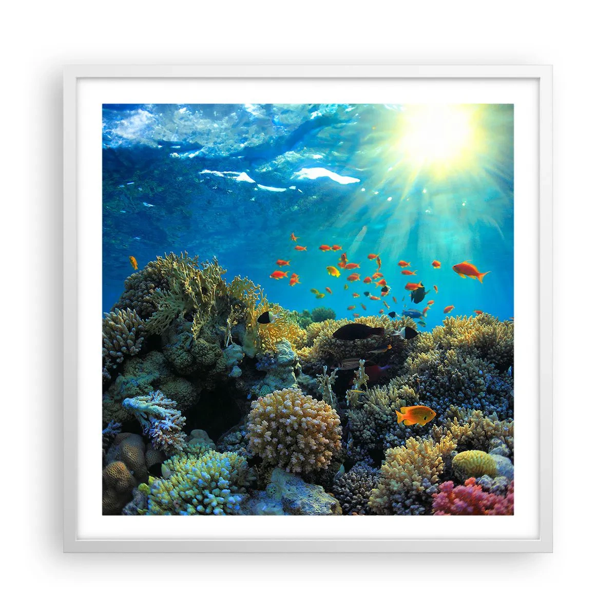 Poster in een witte lijst - Onderwater schatten - 60x60 cm