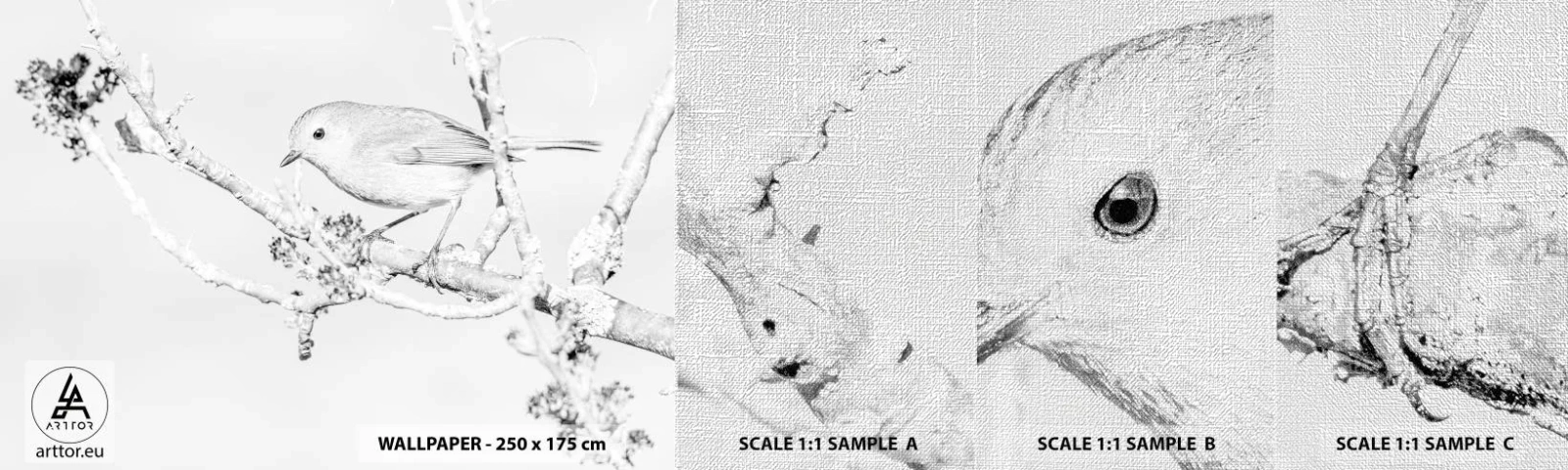 Fotobehang Monster Premium Canvas - Winterochtend - Helder, Vogel, Natuur - 100x30 cm