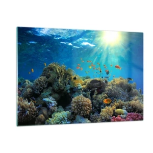 Schilderen op glas - Onderwater schatten - 120x80 cm