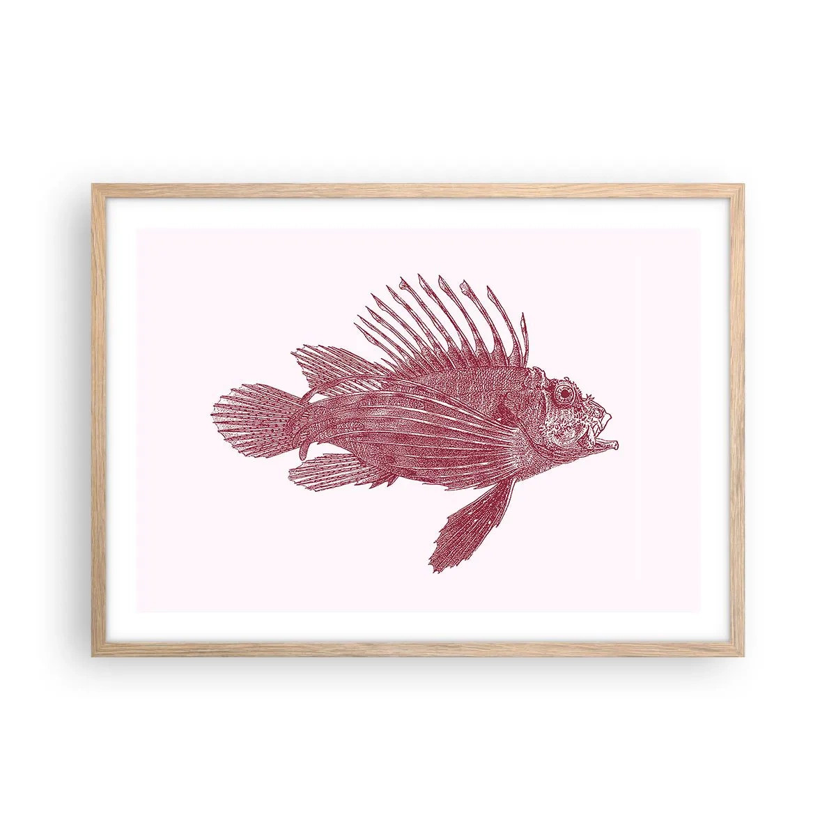 Een poster in een licht eiken lijst - Inwoner van exotische wateren - 70x50 cm