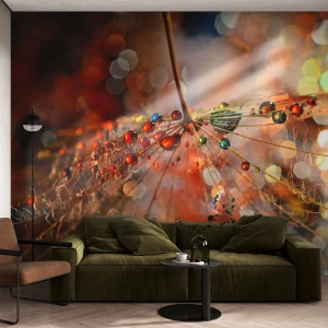 Fotobehang Premium Sand - Geregen op een spinnendraad - Abstractie, spinnenweb, Deel - 350x256 cm