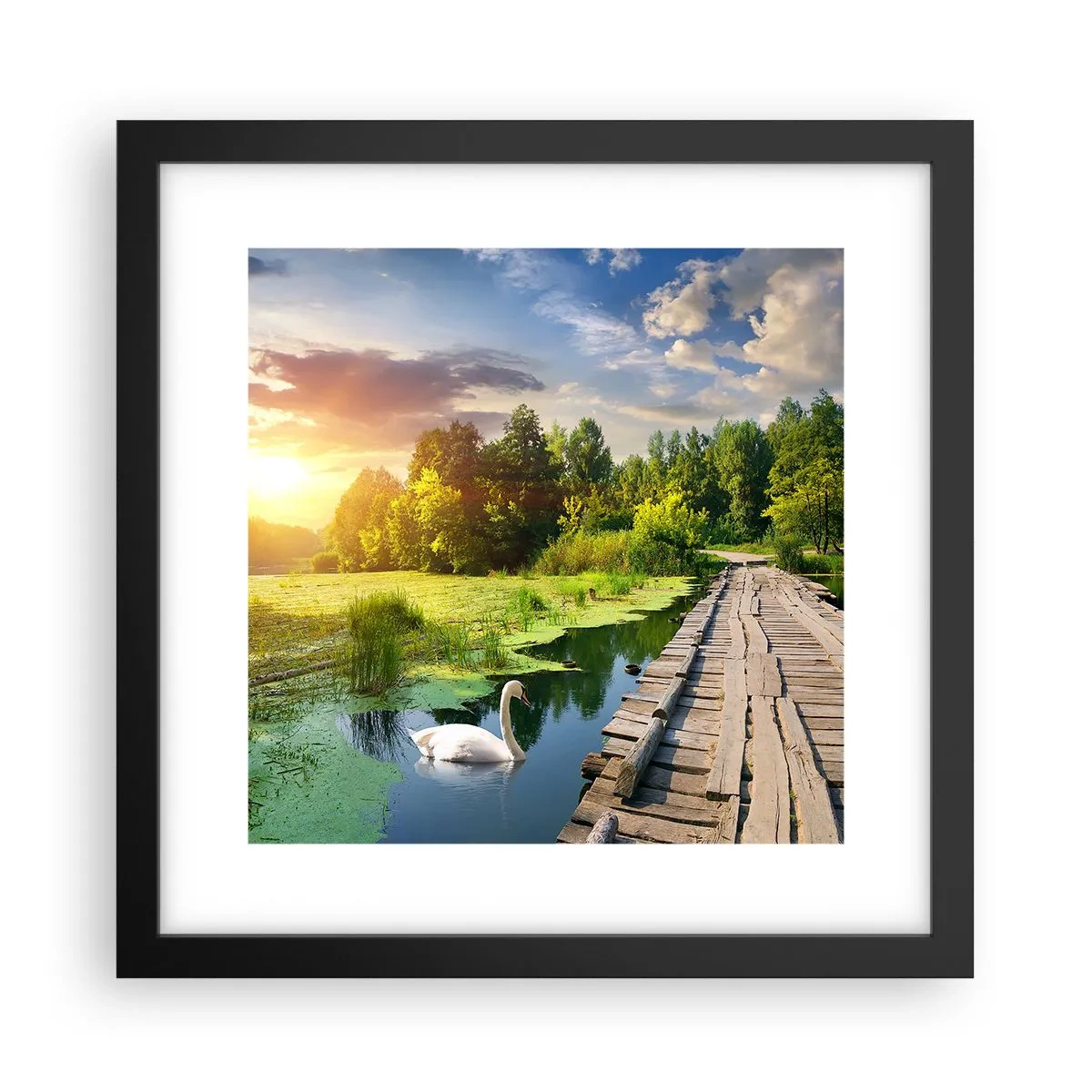 Poster in een zwarte lijst - Zomer, zomer overal - 30x30 cm