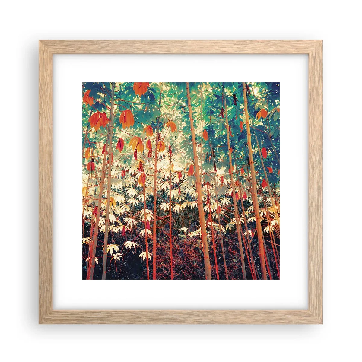 Een poster in een licht eiken lijst - Het geheime leven van de bladeren - 30x30 cm
