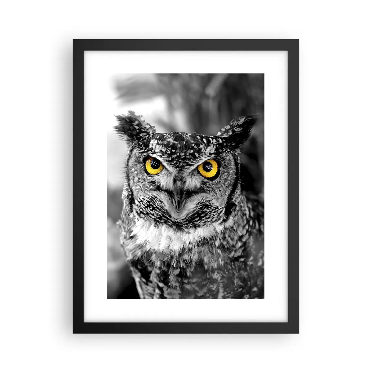 Poster in een zwarte lijst - Niets zal zich verbergen - 30x40 cm