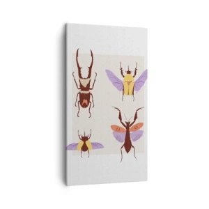 Schilderen op canvas - Insectenwereld - 45x80 cm