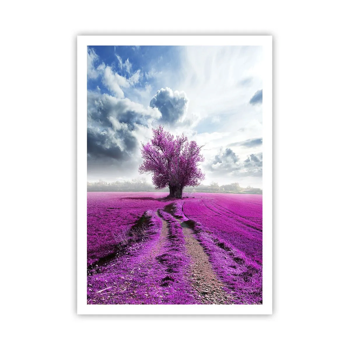 Poster - Heide - heilige plek - 70x100 cm