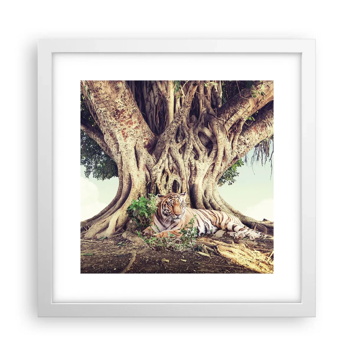 Poster in een witte lijst - Uitzicht vanuit het boek Genesis - 30x30 cm