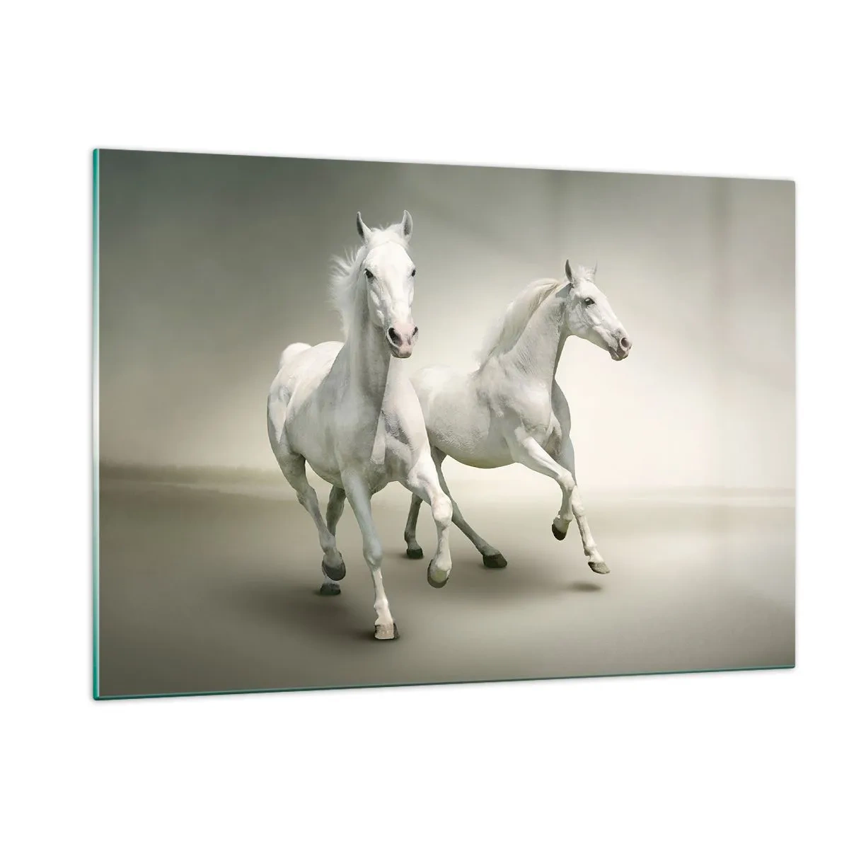 Schilderen op glas - White power! - 120x80 cm