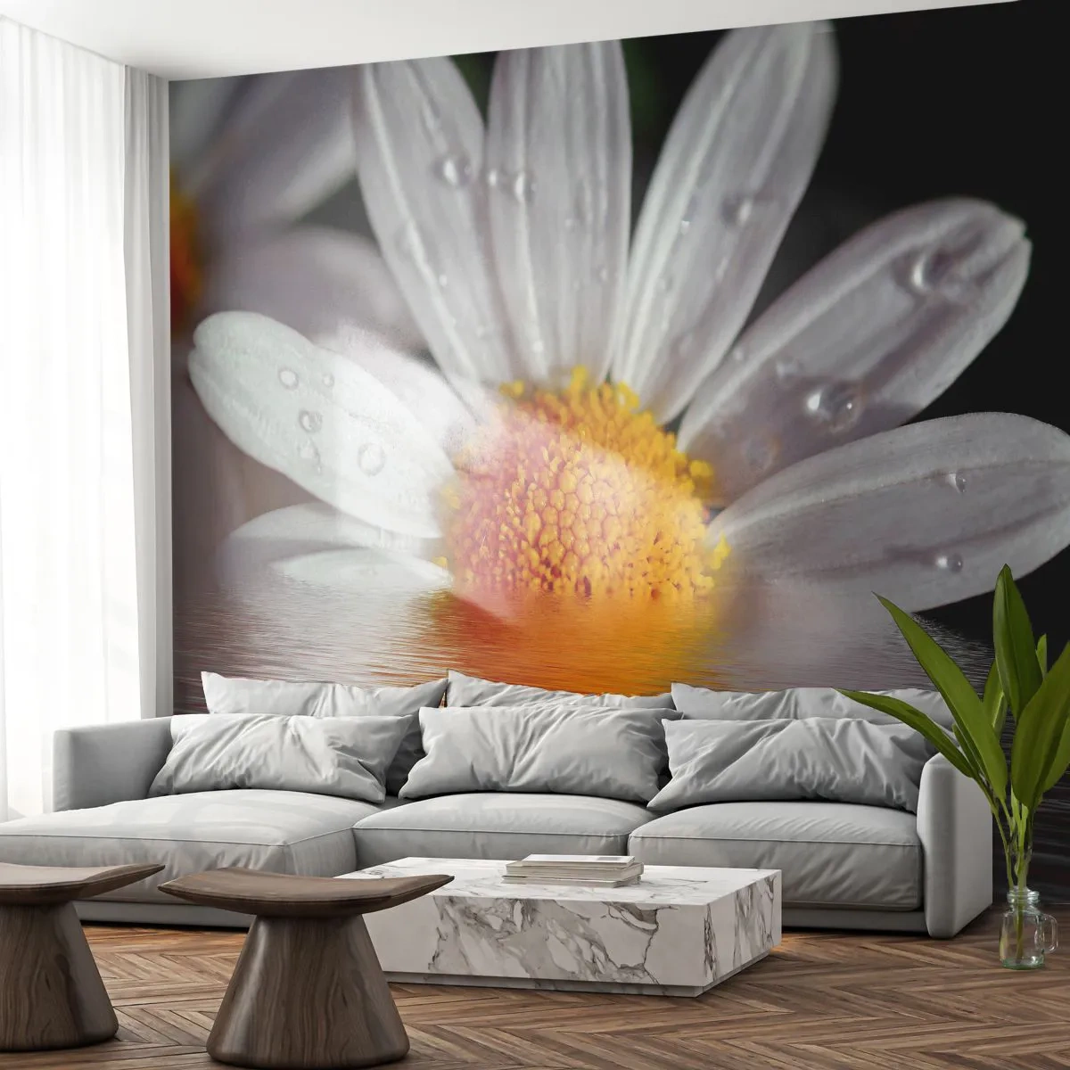 Zelfklevend Fotobehang Deluxe Sticker - De rijzende zon van madeliefjes - Bloem, Kamille, Natuur - 250x175 cm