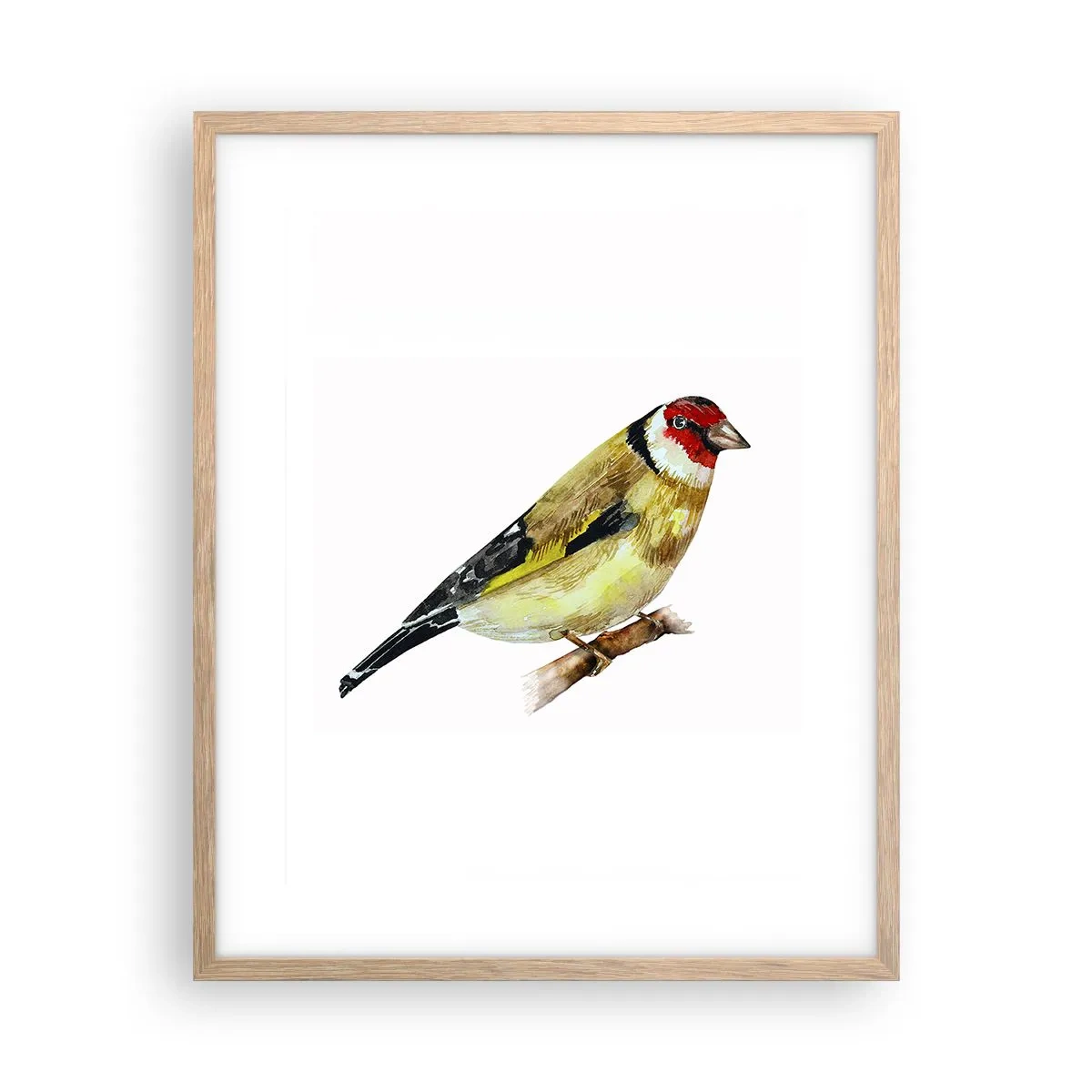 Een poster in een licht eiken lijst - Vogel portret - 40x50 cm