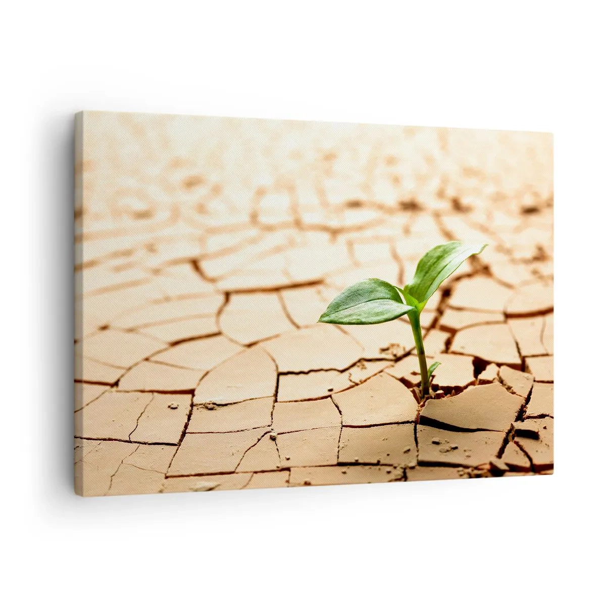 Schilderen op canvas - Een groene plant die groeit uit droge, gebarsten aarde - 70x50cm - De ontembare kracht van het leven - Moderne wanddecoratie voor woonkamer en slaapkamer ARTTOR