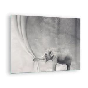 Schilderen op glas - Een olifant in een surrealistische omgeving met een gordijn - 70x50cm - Onthul het mysterie - Moderne wanddecoratie voor woonkamer en slaapkamer ARTTOR