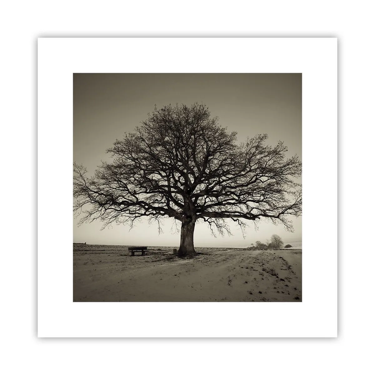 Poster - Van hier tot in de eeuwigheid - 30x30 cm