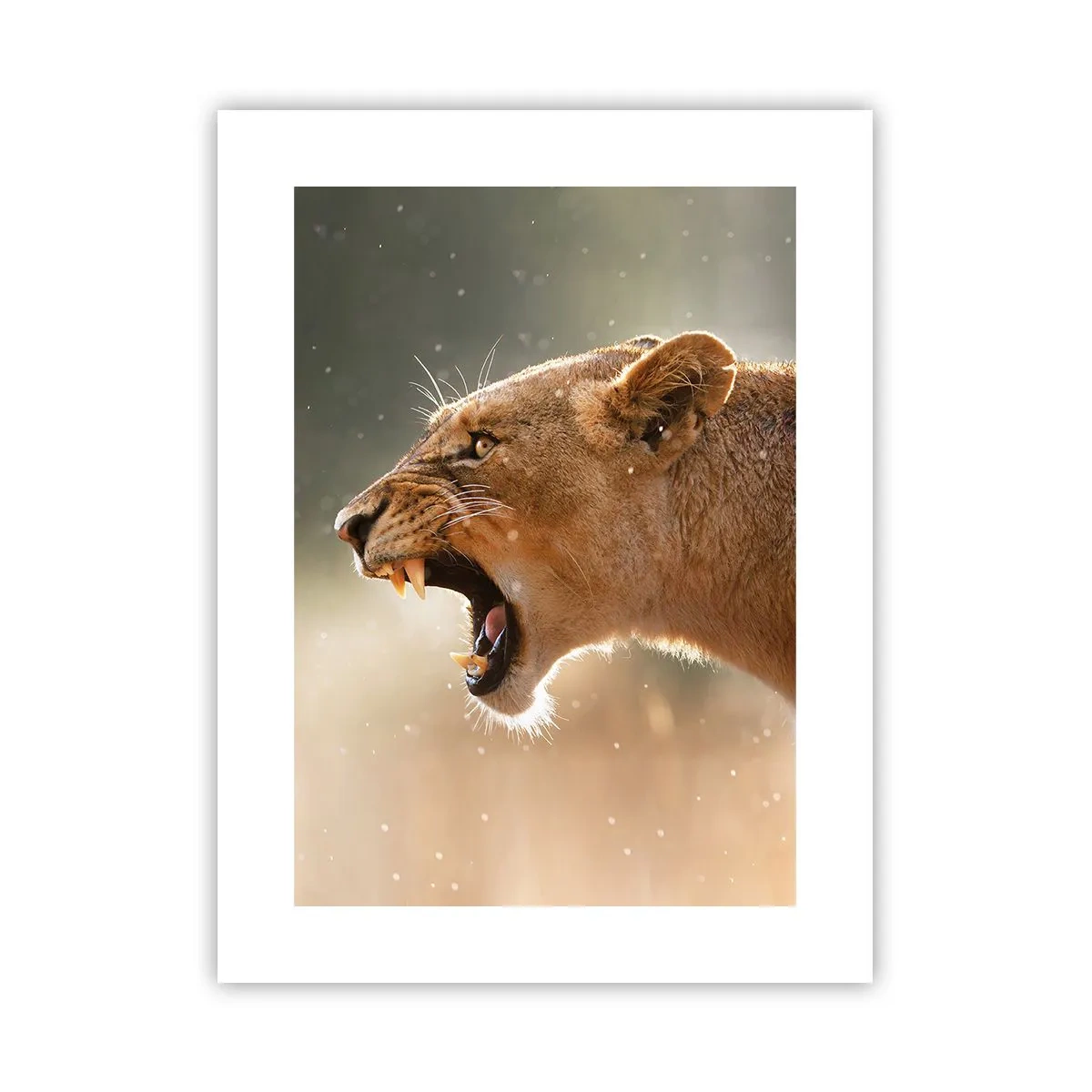 Poster - Probeer niet te luisteren - 30x40 cm