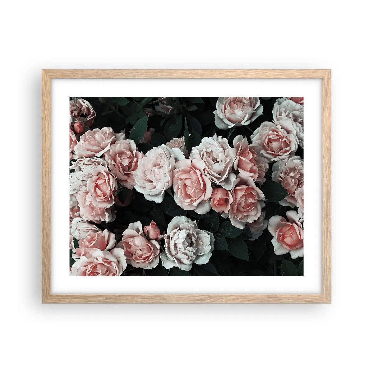 Een poster in een licht eiken lijst - Rozen ensemble - 50x40 cm
