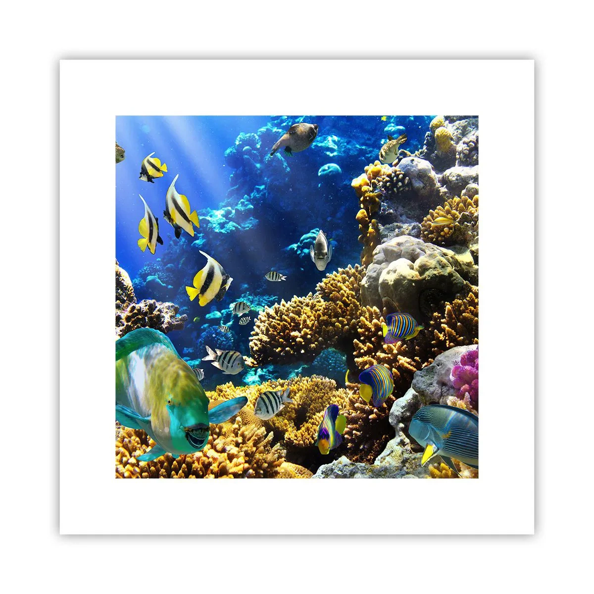 Poster - Veel verkeer op de vakantieroute - 30x30 cm