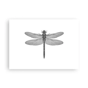 Poster - Precisie van de natuur - 70x50 cm