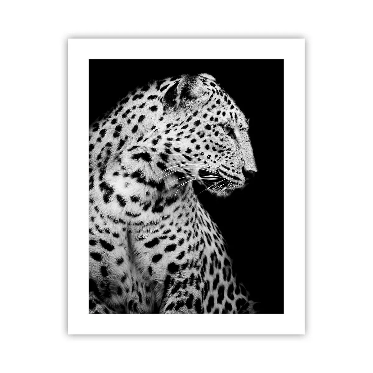 Poster - Juist profiel perfect! - 40x50 cm