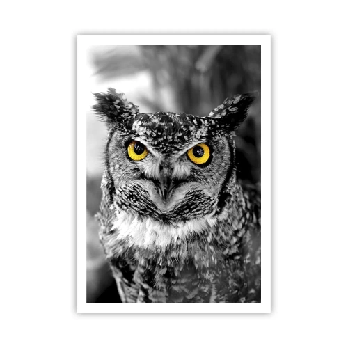 Poster - Niets zal zich verbergen - 70x100 cm