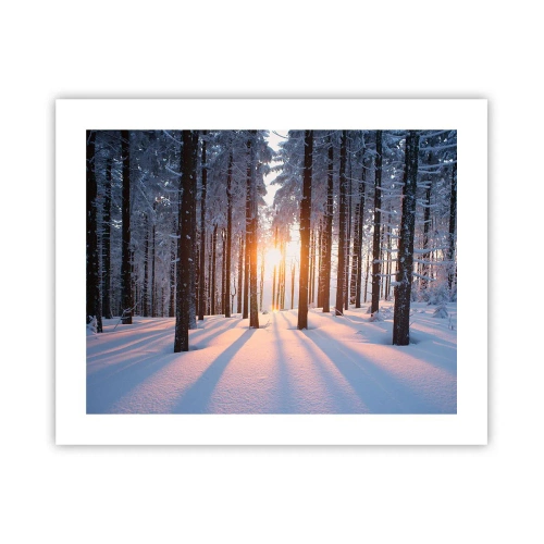 Poster - Duidelijk in zwart-wit - 50x40 cm