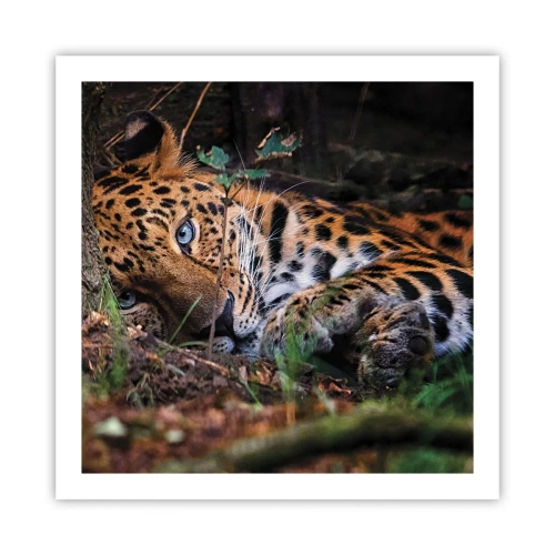 Poster - Geloof me - 60x60 cm