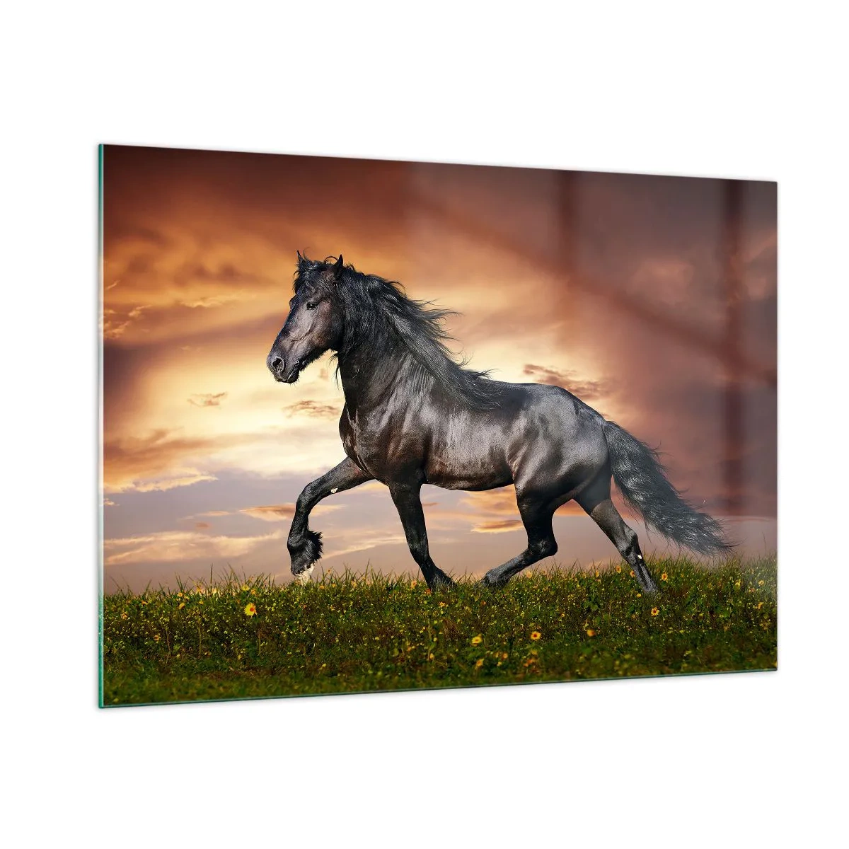 Schilderen op glas - Zwarte Prins - 100x70 cm