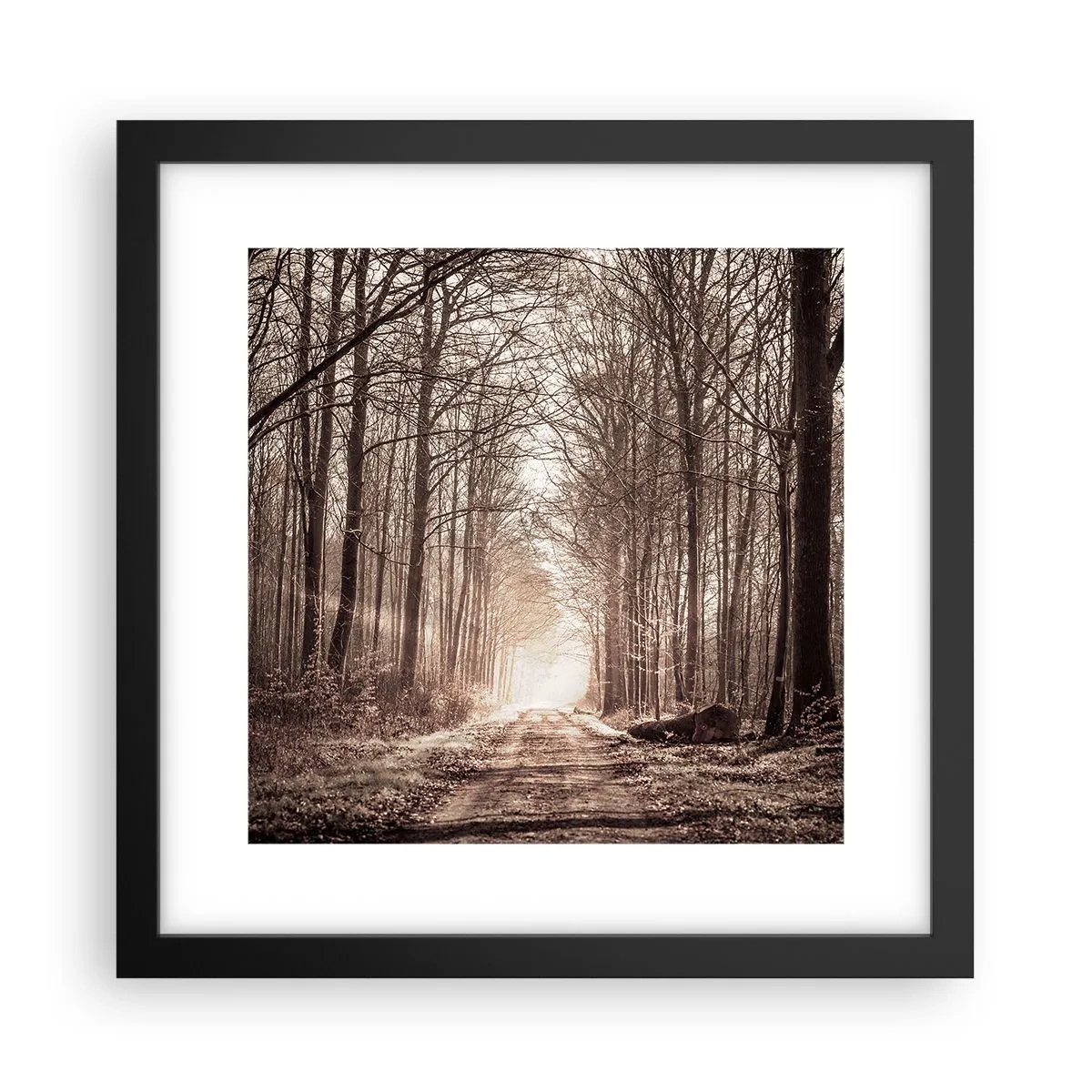 Poster in een zwarte lijst - Boskathedraal - 30x30 cm