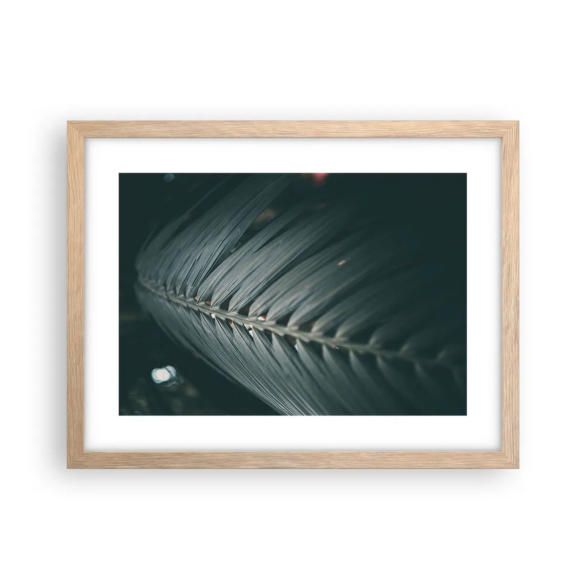 Een poster in een licht eiken lijst - De precisie van de natuur - 40x30 cm