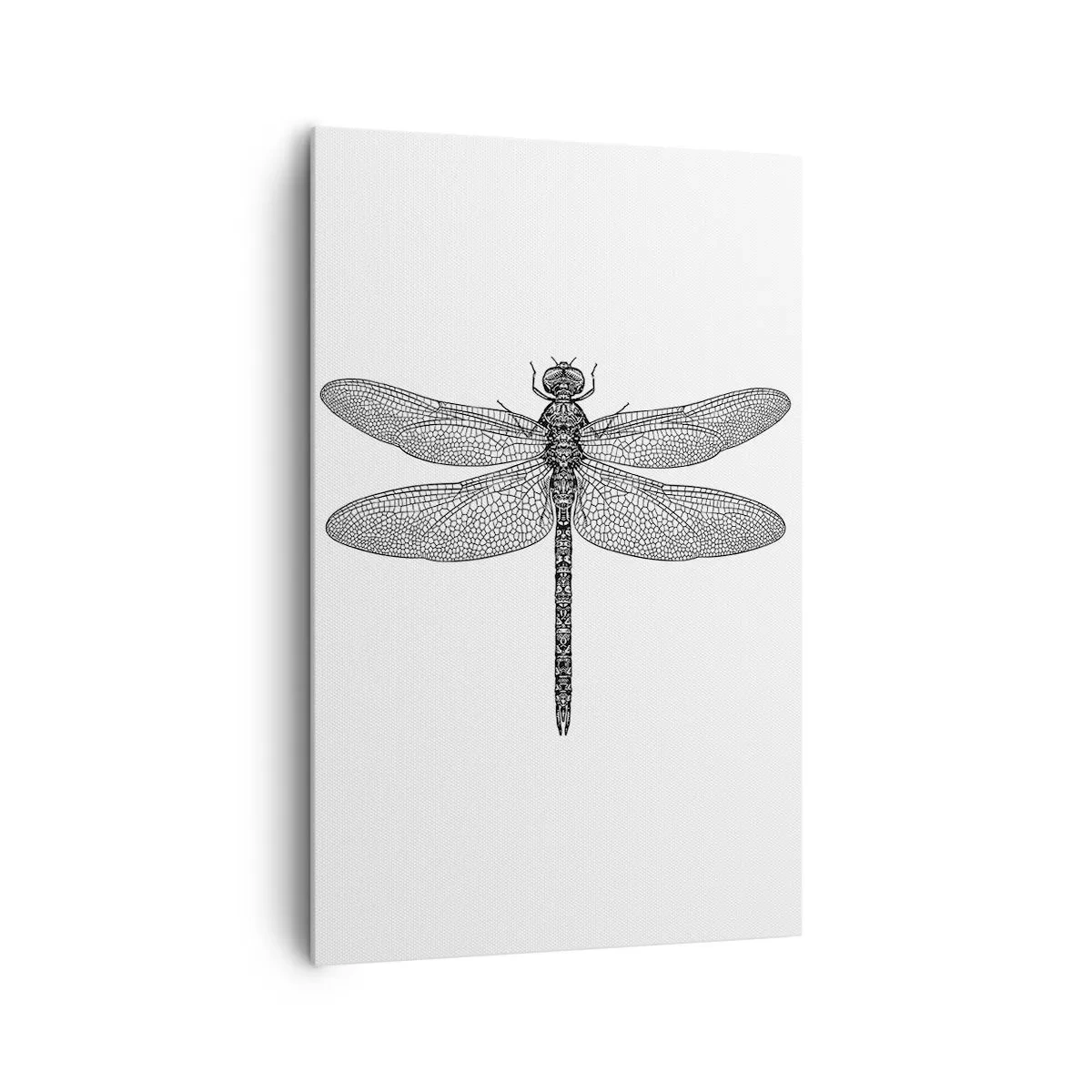 Schilderen op canvas - Precisie van de natuur - 80x120 cm