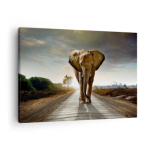 Schilderen op canvas - Een olifant loopt langs een weg door een landschap bij zonsondergang - 70x50cm - En helemaal niet in een porseleinen pakhuis - Moderne wanddecoratie voor woonkamer en slaapkamer ARTTOR