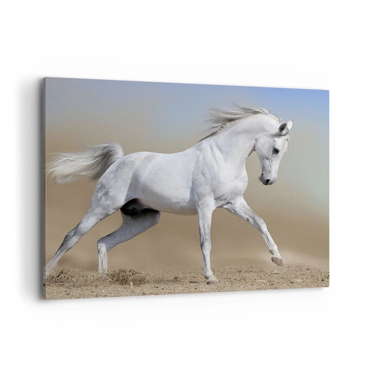 Schilderen op canvas - Het mooiste Arabische sprookje - 100x70 cm