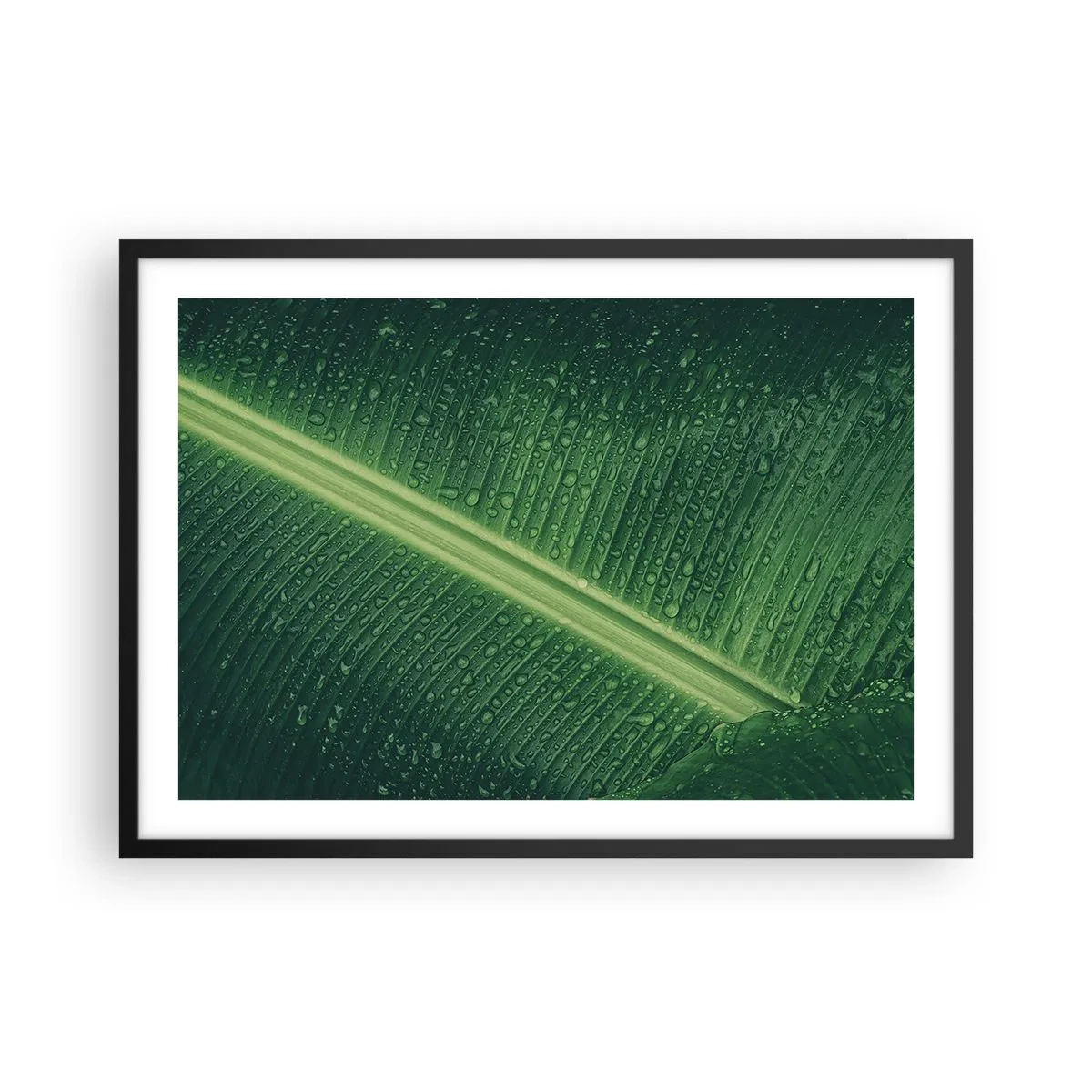 Poster in een zwarte lijst - De structuur van groen - 70x50 cm