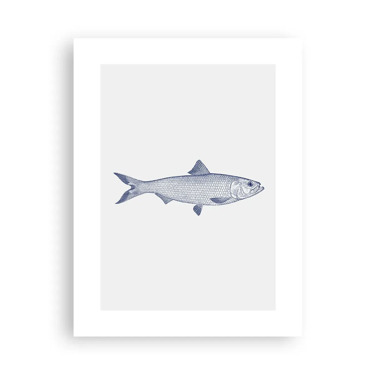 Poster - Groeten uit de noordelijke zeeën - 30x40 cm