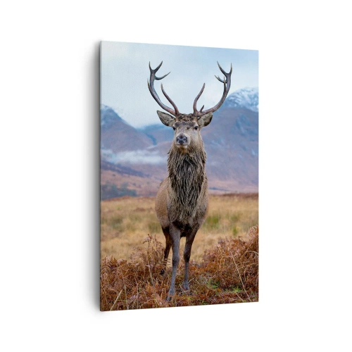 Schilderen op canvas - Op eigen grond - 80x120 cm