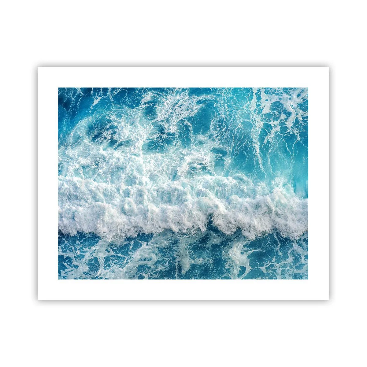 Poster - Vrolijk en springend - 50x40 cm