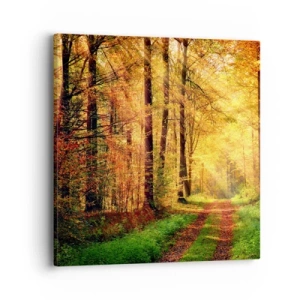 Schilderen op canvas - Bos-gouden stilte - 40x40 cm