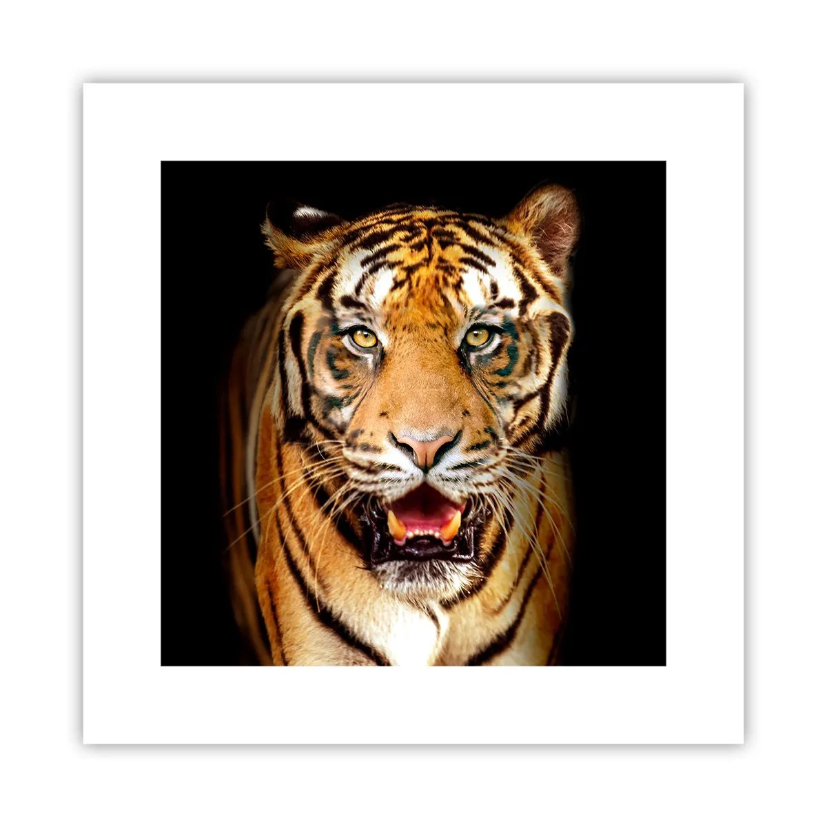 Poster - Wildheid in het hart - 30x30 cm