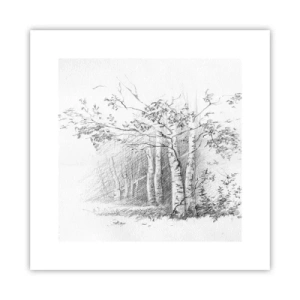 Poster - Het licht van het berkenbos - 30x30 cm