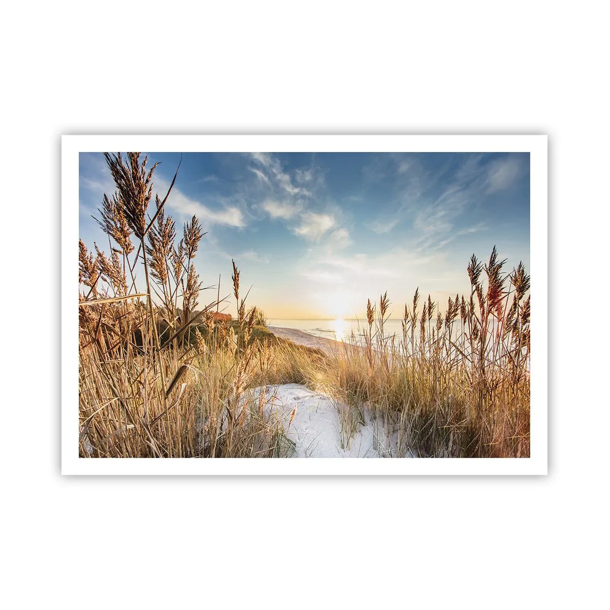 Poster - Noord strand - 100x70 cm